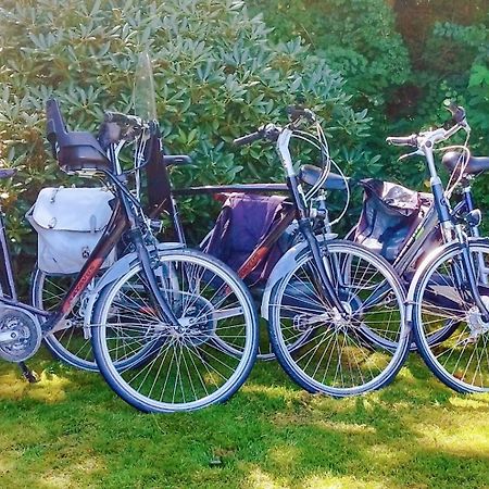 Vakantiehuis Hollum Ameland Dichtbij Strand En Met Ruime Tuin - Ameland39 Nl Bagian luar foto